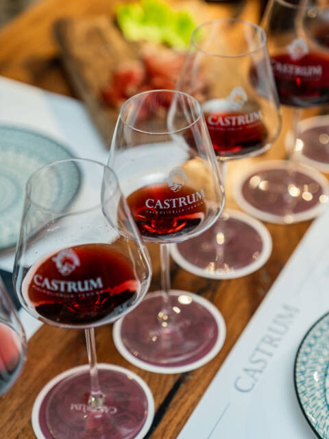 Evening Tasting: Classic long tour