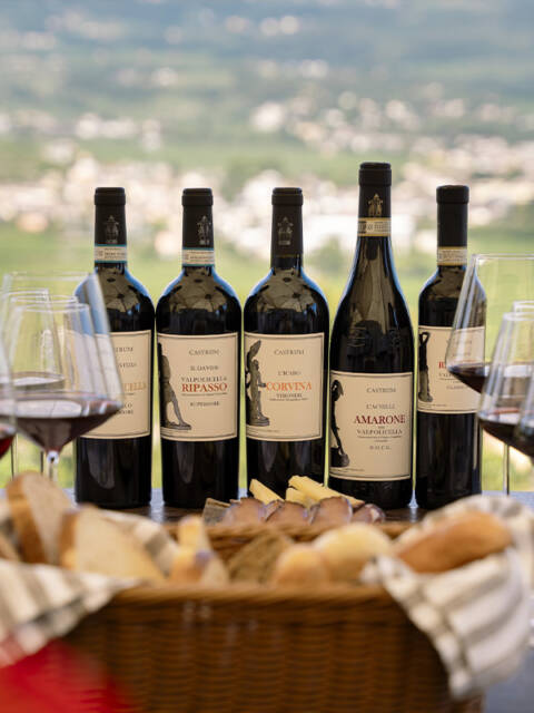 Daytime Tasting Light Lunch: 5 Castrum wines + first course (minimum 10 people)