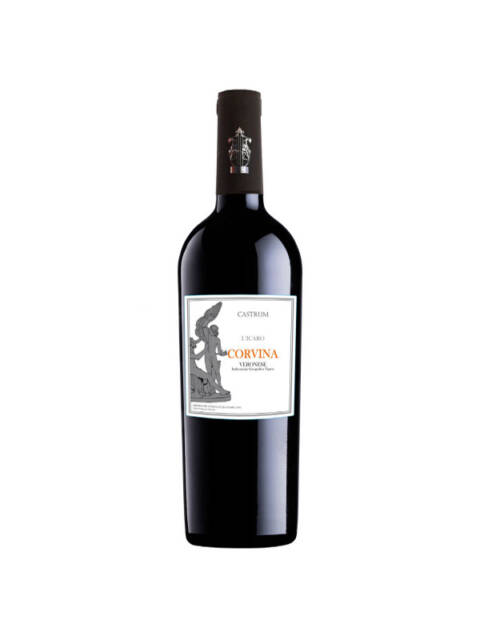 Corvina Veronese IGT “L’Icaro” – Castrum