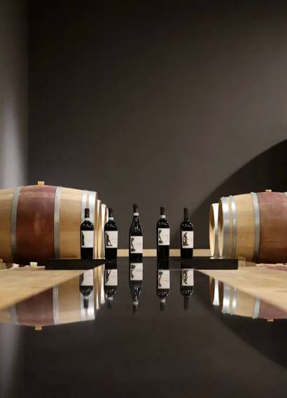wine-club-castrum